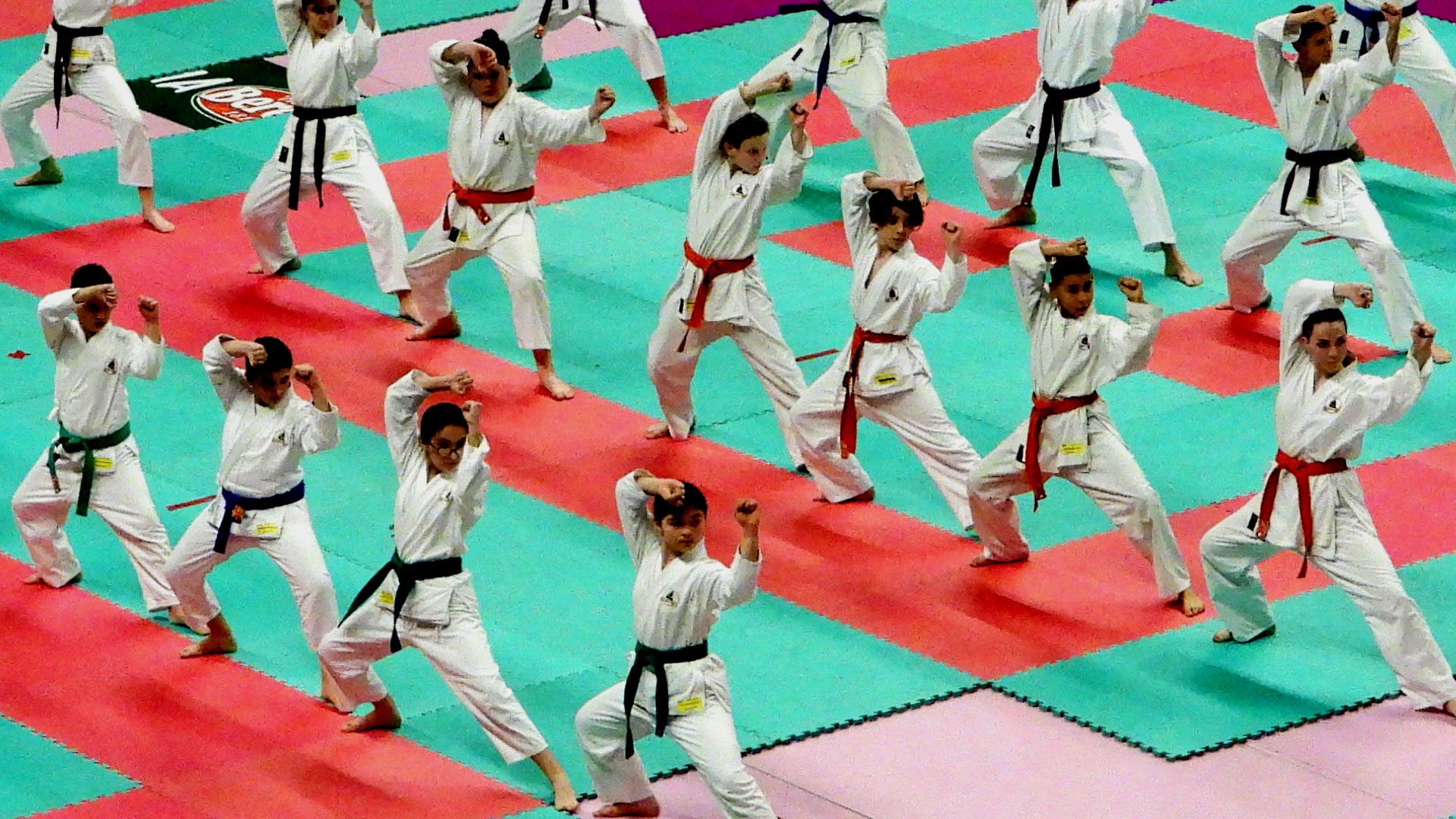 Immagine Karate giovani